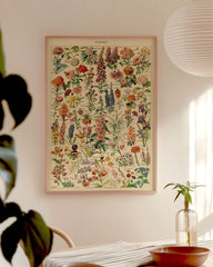 After Hover: Adolphe Philippe Millot - Vintage Blumen-Übersicht