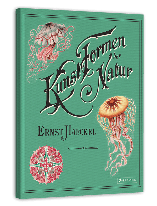Ernst Haeckel - Kunstformen der Natur
