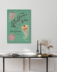 After Hover: Ernst Haeckel - Kunstformen der Natur