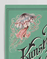 After Hover: Ernst Haeckel - Kunstformen der Natur