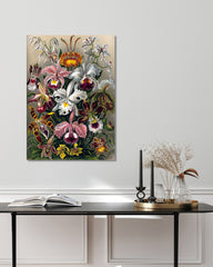 After Hover: Ernst Haeckel - Blumen