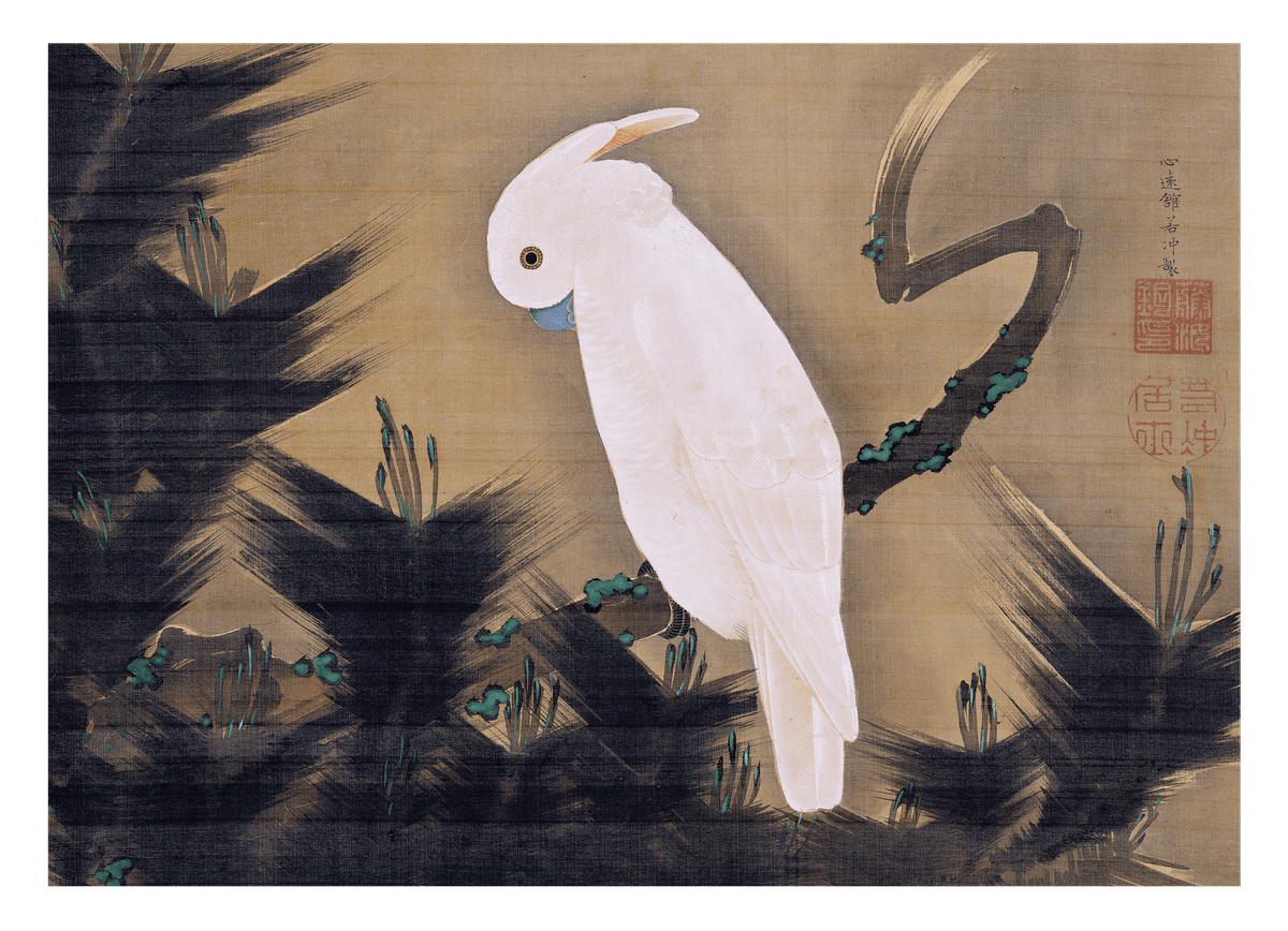 Itō Jakuchū - Weißer Kakadu