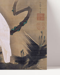 After Hover: Itō Jakuchū - Weißer Kakadu