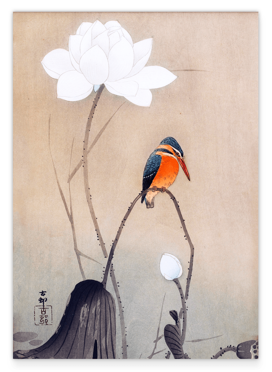 Ohara Koson - Eisvogel neben weißer Blüte