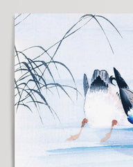 After Hover: Ohara Koson - Tauchende Ente