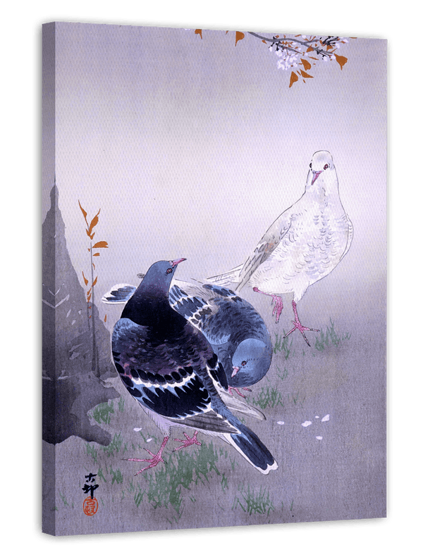 Ohara Koson - Tauben am Kirschblütenbaum