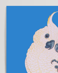 After Hover: Ohara Koson - Zwei Kakadus