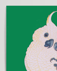 After Hover: Ohara Koson - Zwei Kakadus vor grünem Hintergrund