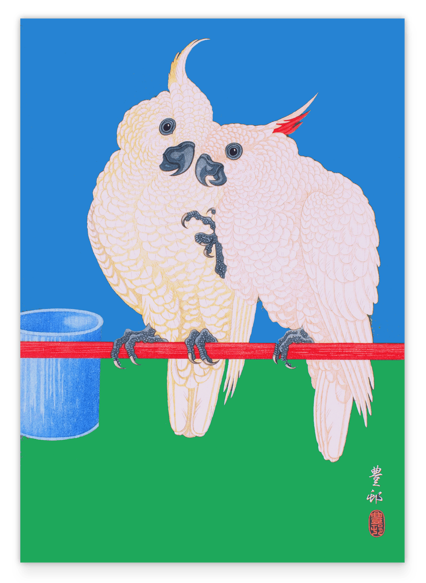 Ohara Koson - Zwei Kakadus auf buntem Hintergrund
