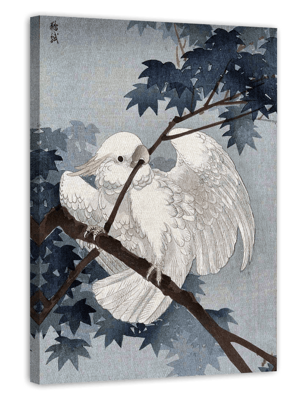 Ohara Koson - Kakadu auf Ast