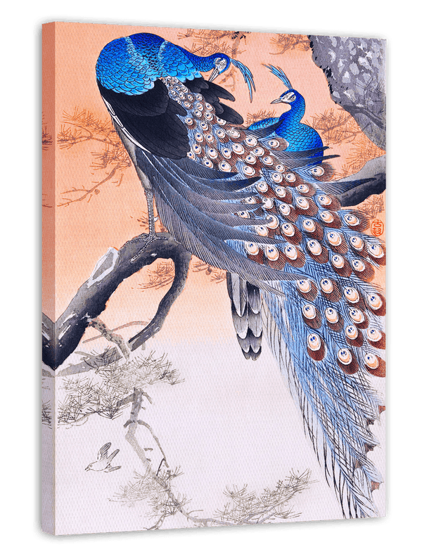 Ohara Koson - Zwei blaue Pfauen