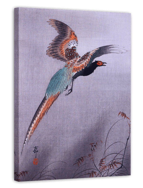 Ohara Koson - Fliegender Fasan