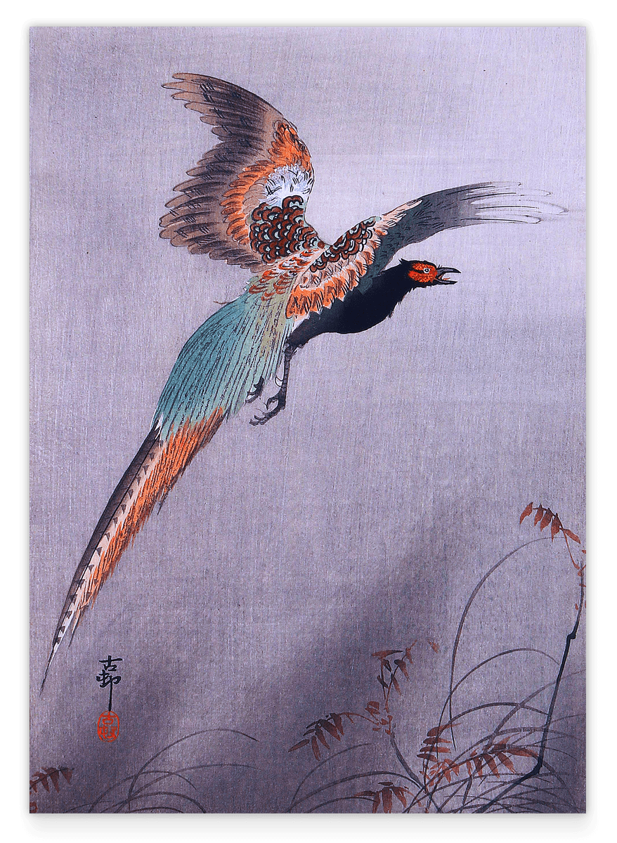 Ohara Koson - Fliegender Fasan