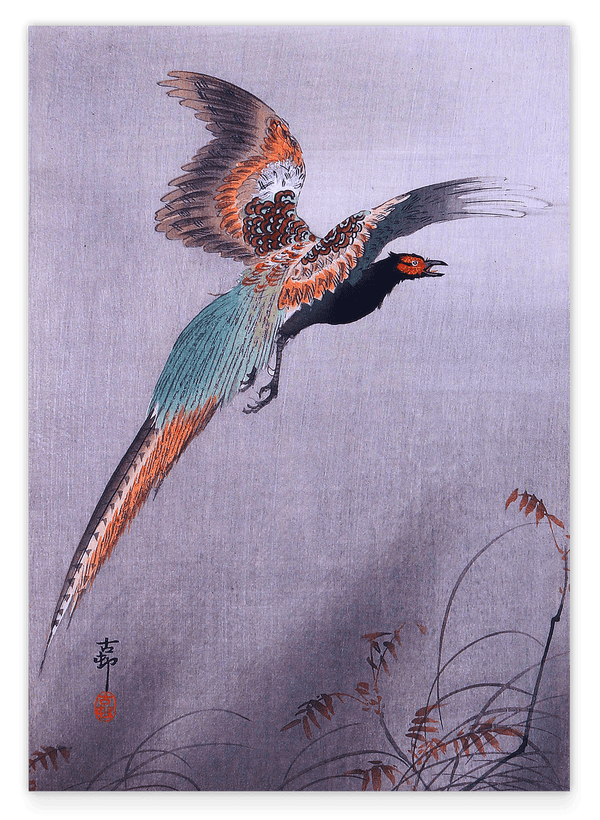 Ohara Koson - Fliegender Fasan