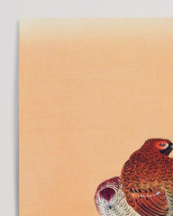 After Hover: Ohara Koson - Zwei Fasane