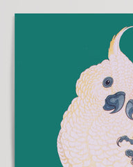 After Hover: Ohara Koson - Zwei Kakadus