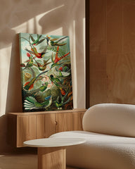 After Hover: Ernst Haeckel - Vögel im Paradies