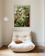 After Hover: Ernst Haeckel - Vögel im Paradies