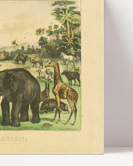 After Hover: Currier and Ives - The Animal Creation