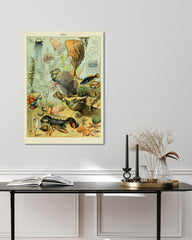 After Hover: Adolphe Philippe Millot - Unterwasserwelt II