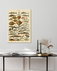 After Hover: Adolphe Philippe Millot - Fische