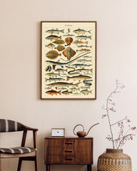 After Hover: Adolphe Philippe Millot - Fische