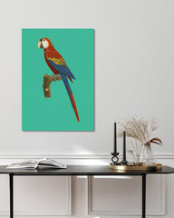 After Hover: François Levaillant - Ara auf türkisem Hintergrund