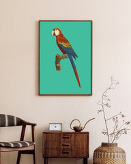 After Hover: François Levaillant - Ara auf türkisem Hintergrund