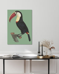 After Hover: François Levaillant - Tukan auf grünem Hintergrund