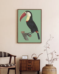 After Hover: François Levaillant - Tukan auf grünem Hintergrund