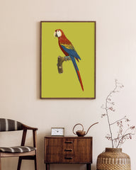 After Hover: François Levaillant - Roter Ara Papagei - Kunstdruck in Grün