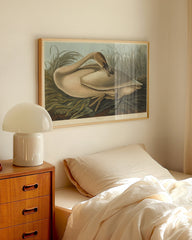 After Hover: John James Audubon - Wildgans