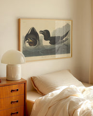 After Hover: John James Audubon - Zwei Enten im Wasser