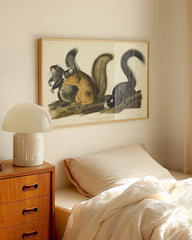 After Hover: John James Audubon - Eichhörnchen