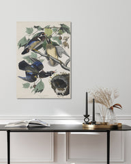 After Hover: John James Audubon - Enten auf Baum