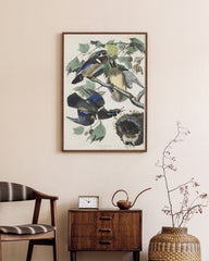 After Hover: John James Audubon - Enten auf Baum