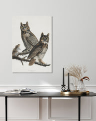 After Hover: John James Audubon - Zwei Eulen