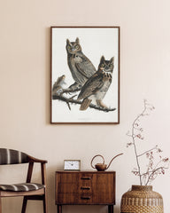 After Hover: John James Audubon - Zwei Eulen