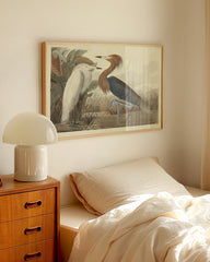 After Hover: John James Audubon - Zwei Vögel am See