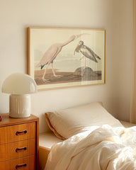 After Hover: John James Audubon - Zwei Wasservögel