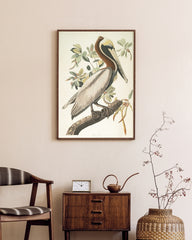 After Hover: John James Audubon - Pelikan am Baum