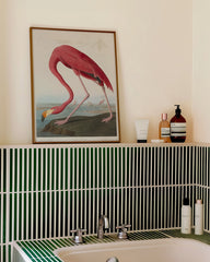 After Hover: John James Audubon - Flamingo am Wasser II