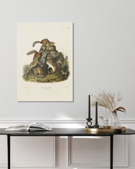 After Hover: John James Audubon - Streifenhörnchen am Baumstamm