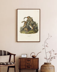 After Hover: John James Audubon - Streifenhörnchen am Baumstamm