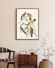 After Hover: John James Audubon - Vögel auf Nahrungssuche