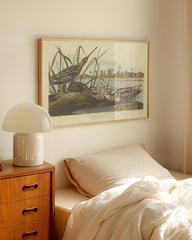 After Hover: John James Audubon - Enten am Teich