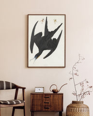 After Hover: John James Audubon - Schwarzer Vogel im Sturzflug