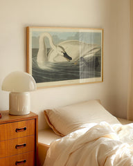 After Hover: John James Audubon - Schwan auf Insektenjagd