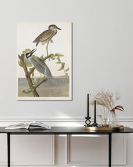 After Hover: John James Audubon - Zwei Vögel auf einem Ast