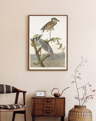 After Hover: John James Audubon - Zwei Vögel auf einem Ast